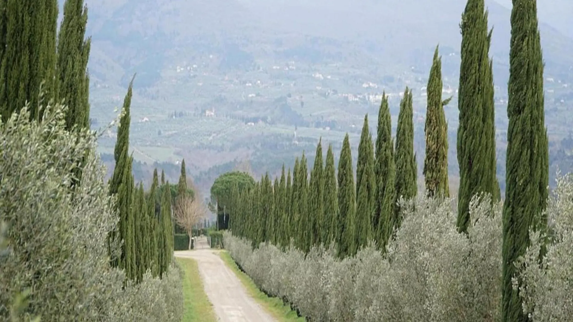 Residence Villa Il Palagio, Rignano Sull